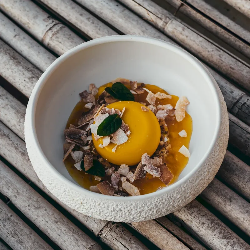 Blue Clay Collection